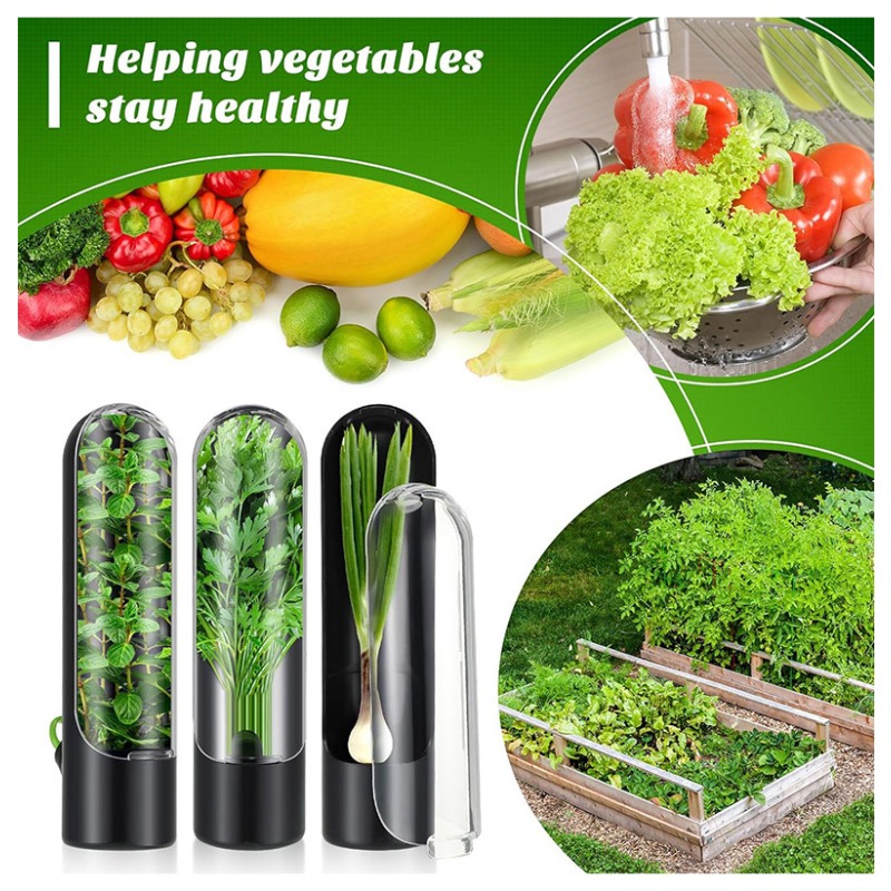 Herb Keeper Bottle - 1/2/3PCS Wadah Penyimpanan Herba Segar, Penjaga