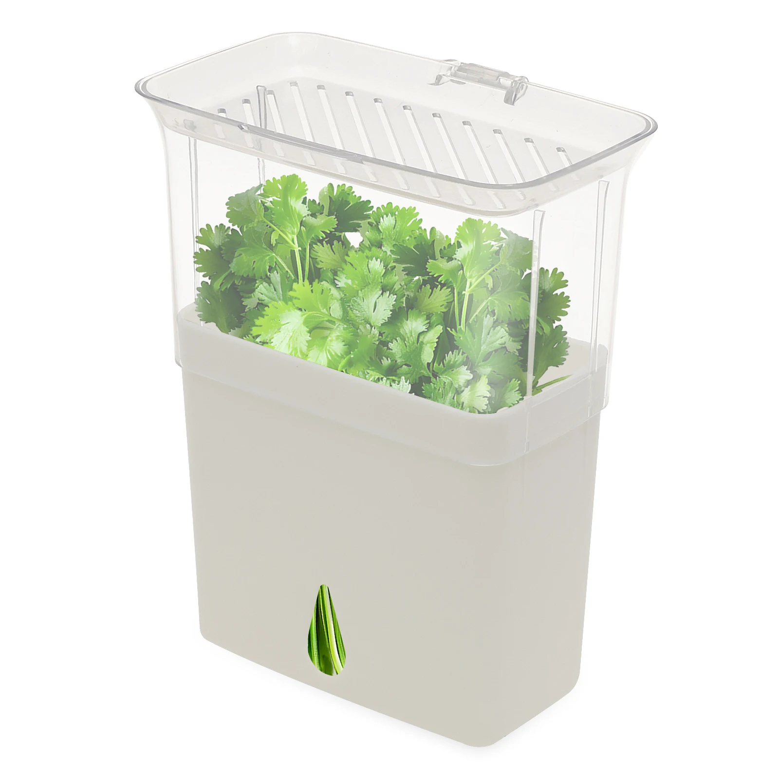 Wadah Penyimpanan Herba Segar  - Herb Keeper Bottle ulasan dan harga