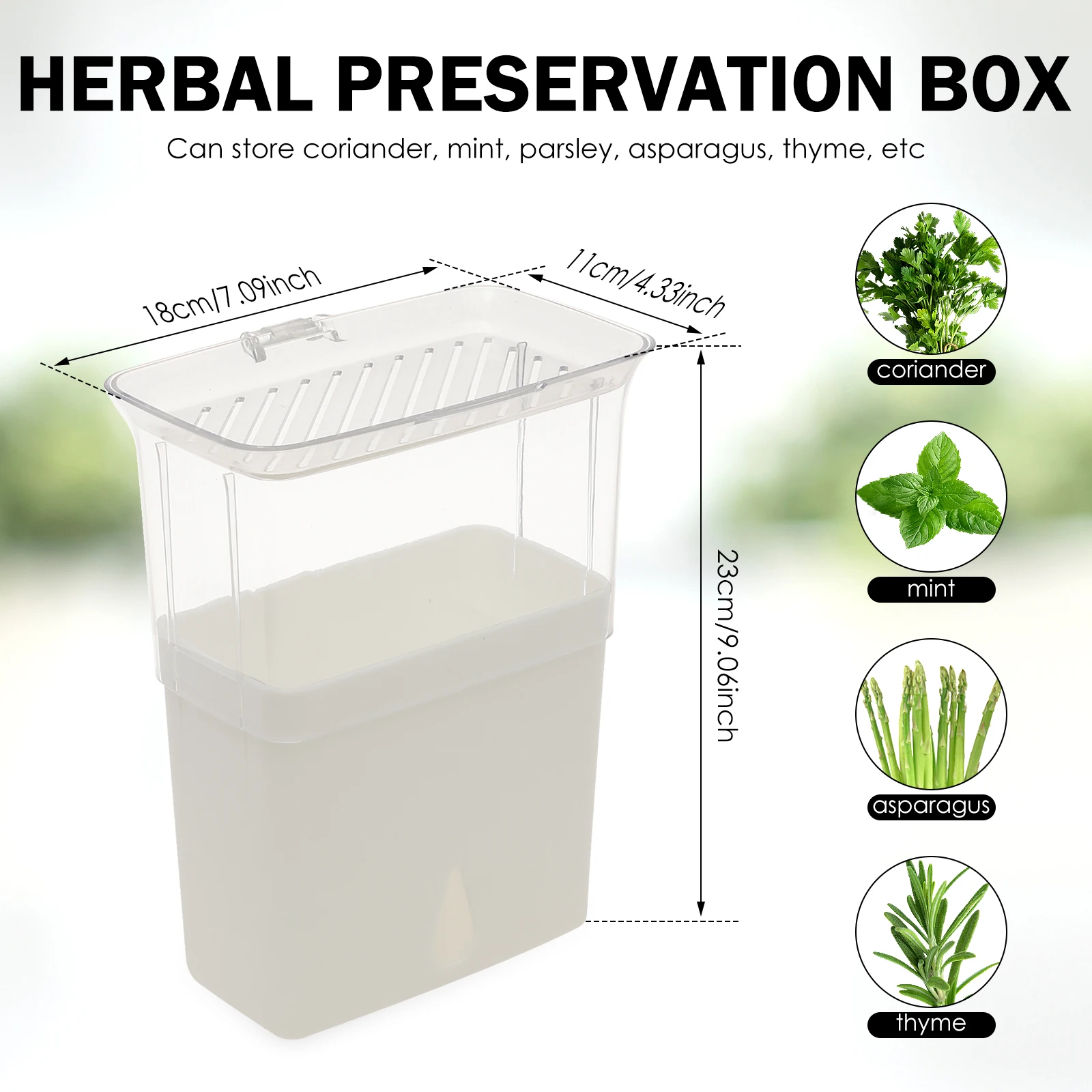 Wadah Penyimpanan Herba Segar  - Herb Keeper Bottle ulasan dan harga