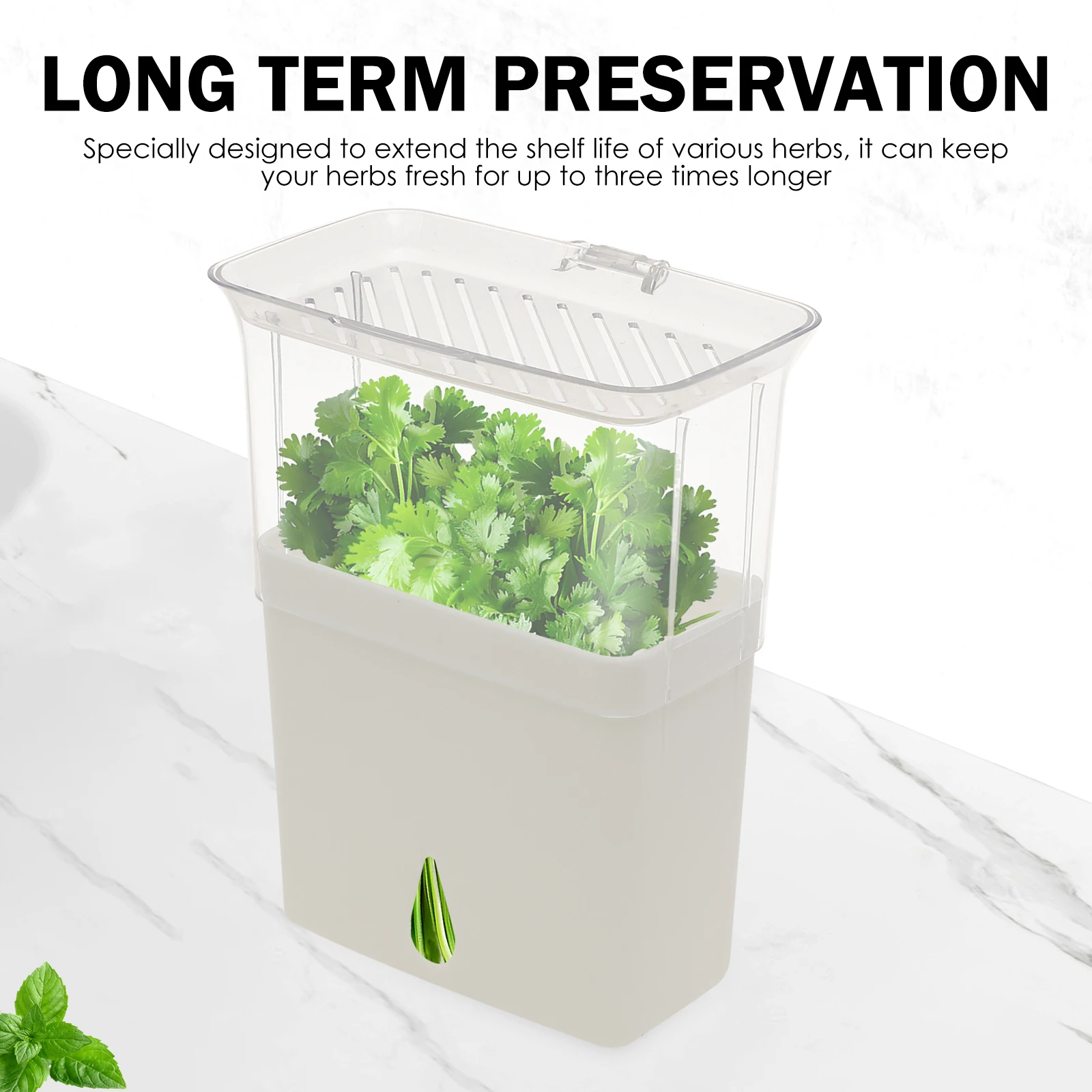 Wadah Penyimpanan Herba Segar  - Herb Keeper Bottle ulasan dan harga