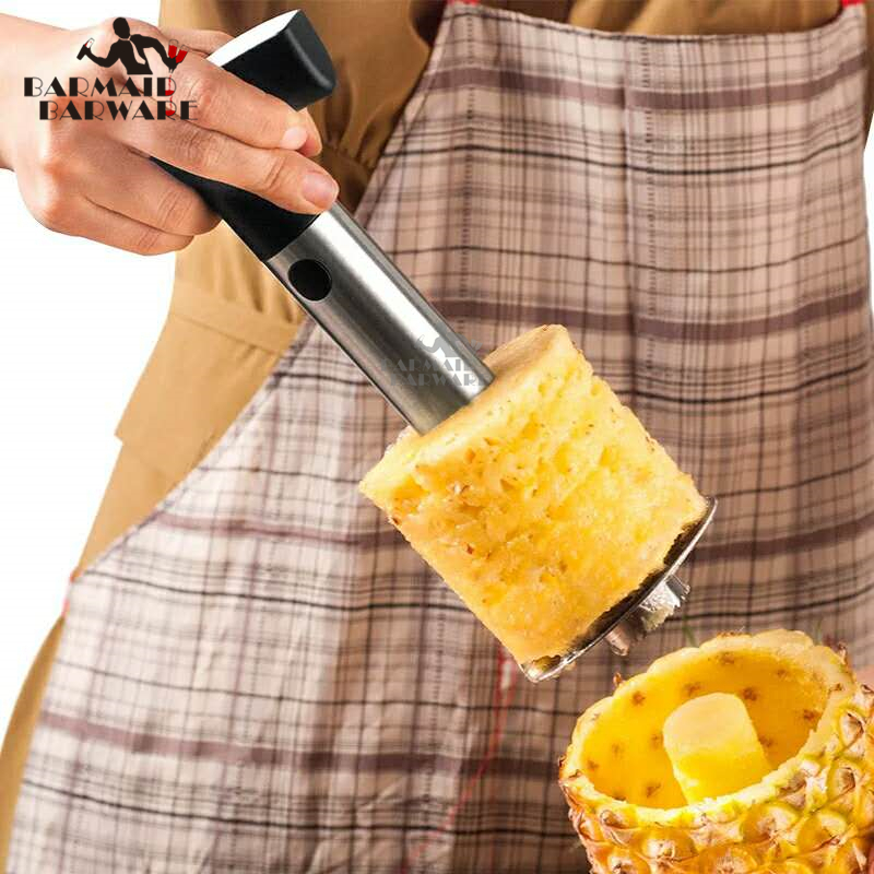 Pemotong Pengupas Nanas Buah B - Pineapple Corer Slicer ulasan dan harga