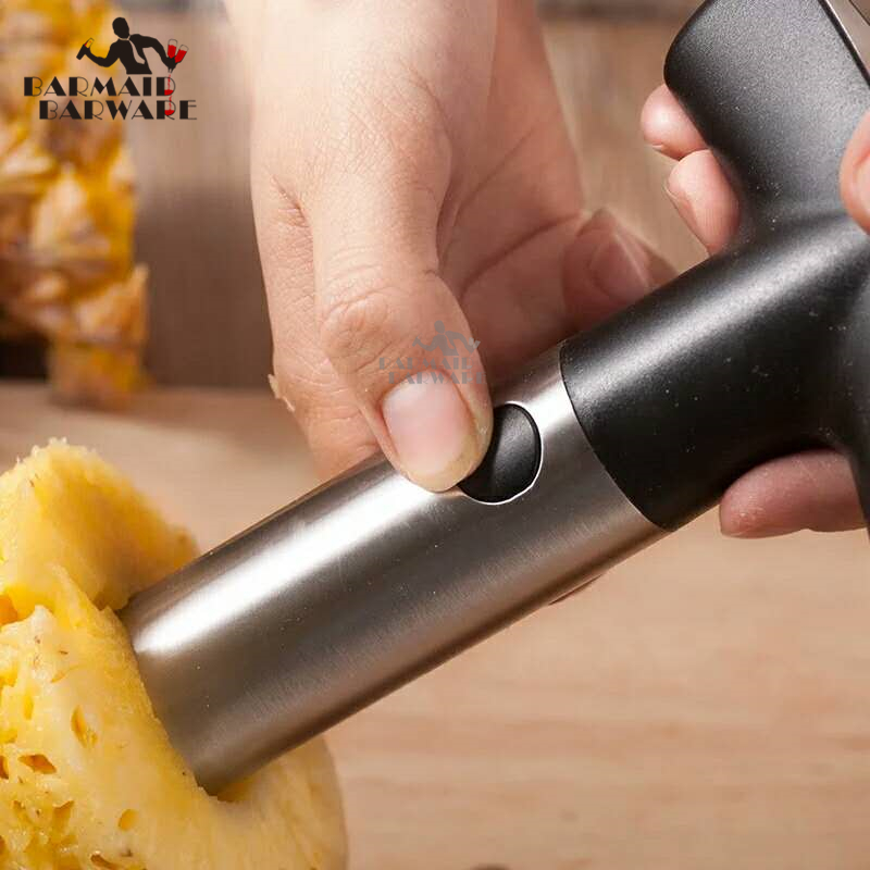 Pemotong Pengupas Nanas Buah B - Pineapple Corer Slicer ulasan dan harga